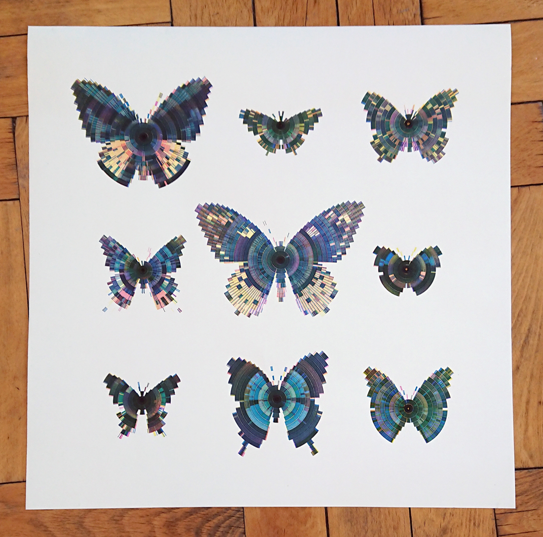 9 butterflies in 1:1 scale