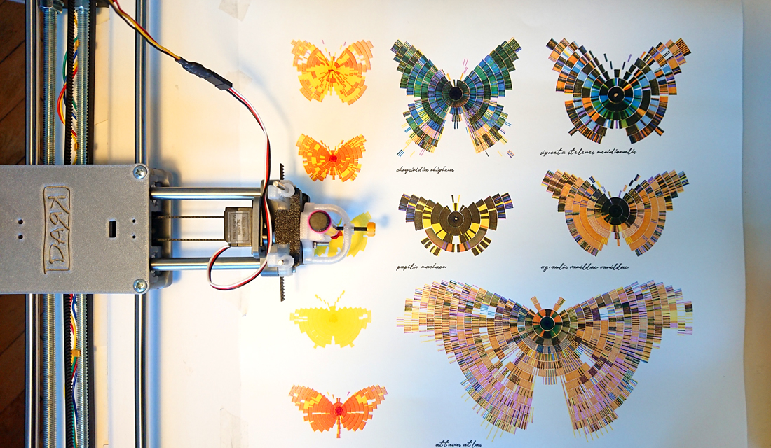 composition of butterflies in 1:1 scale - drawing in progress